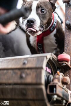 378079826_553863596865834_1526506320447953234_n